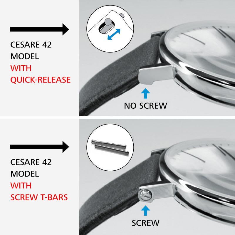 Screw T-Bars Cesare Silver (2 pcs) - Lambretta Watches - Lambrettawatches